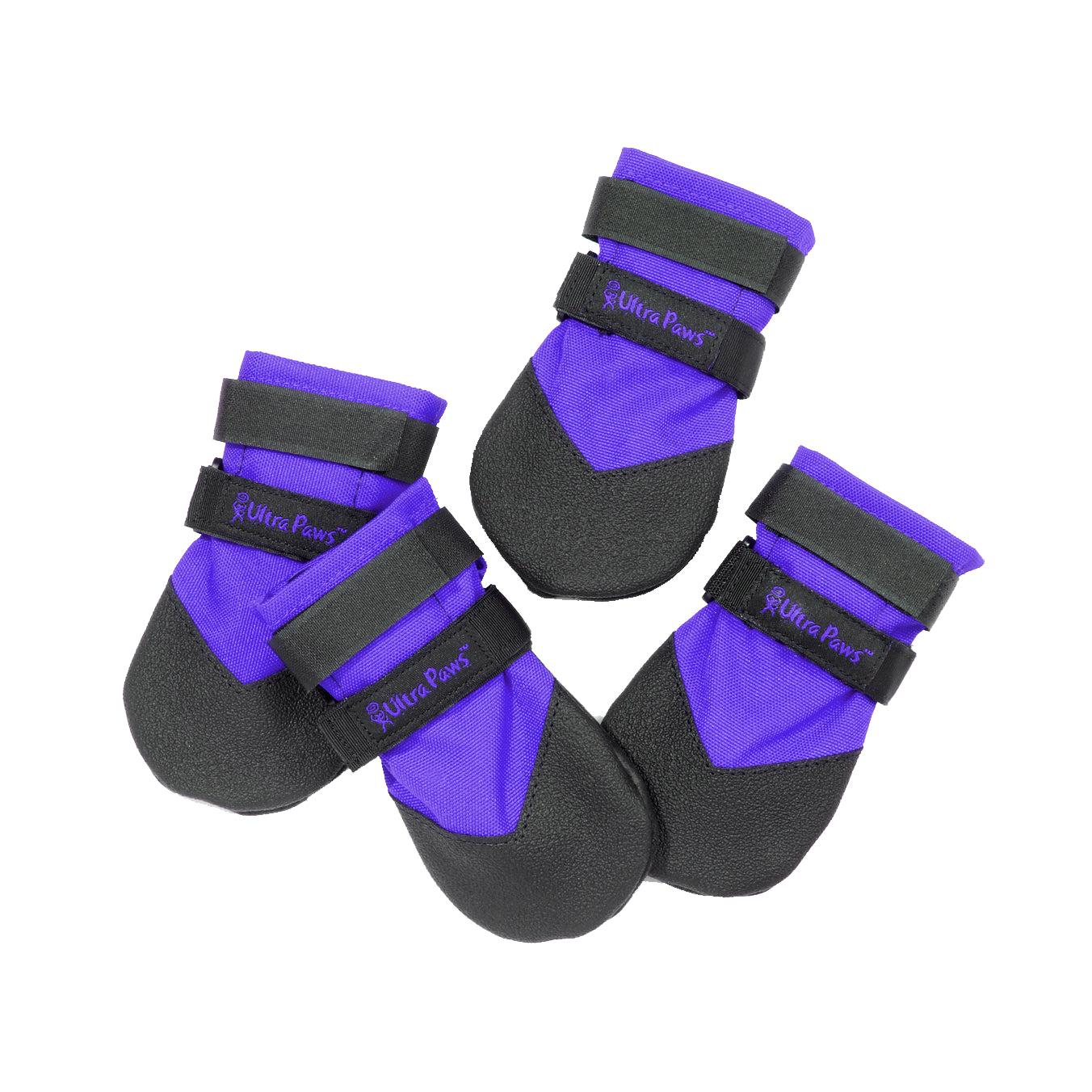 Four purple dog boots for winter