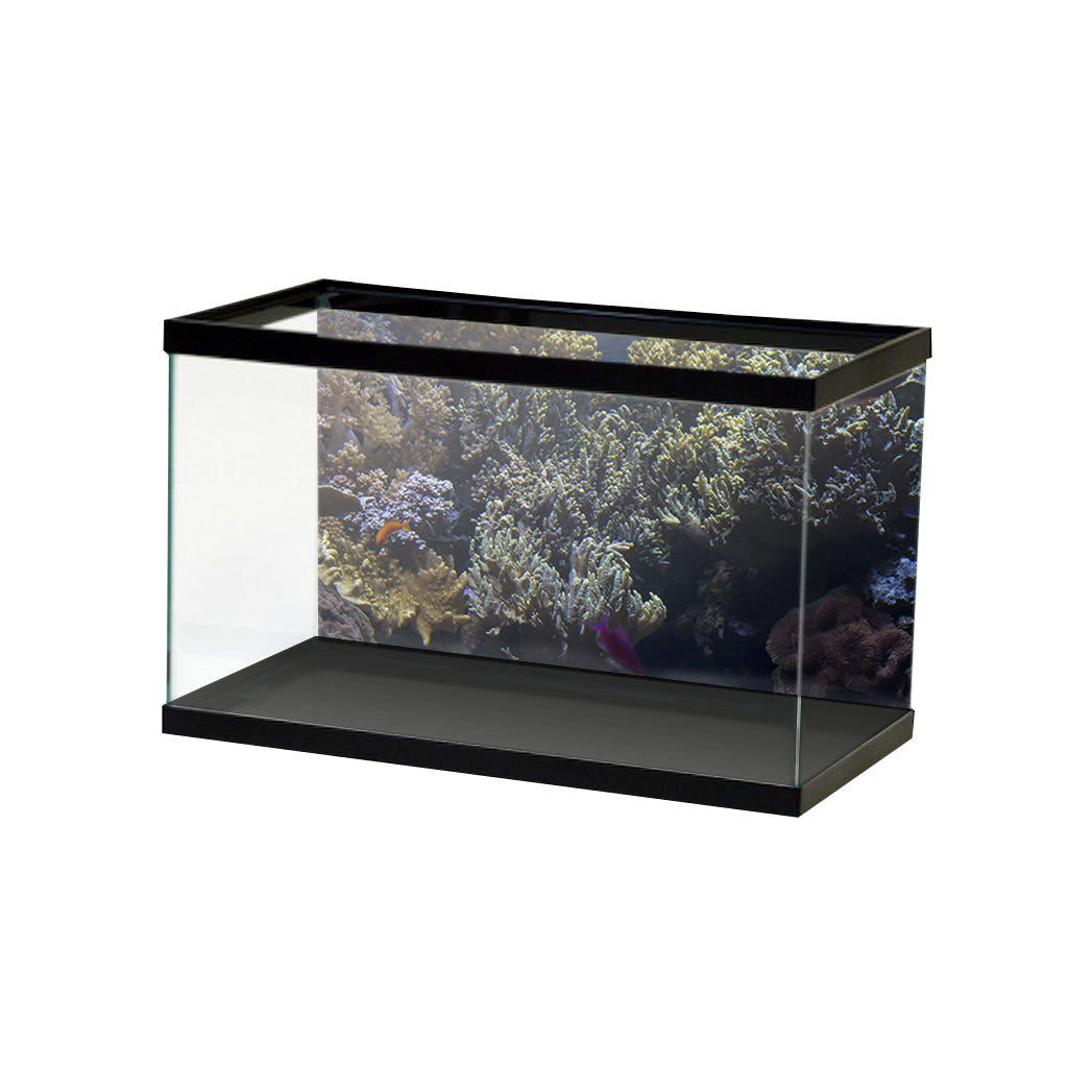 An aquarium with the picture of the sea at the background