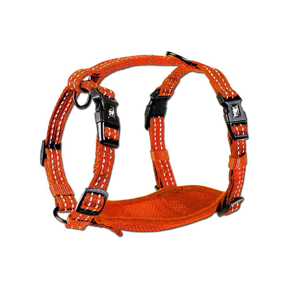 An orange harness for small dogs