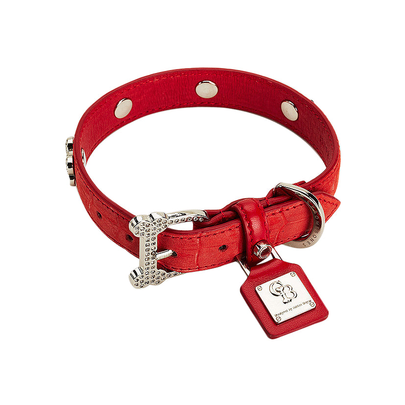 A red collar for dogs