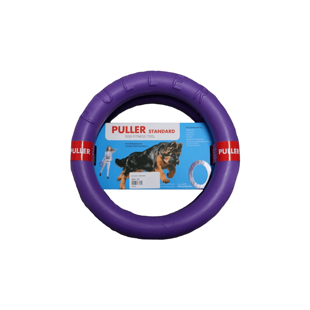 A soft dog disc to play frisbee