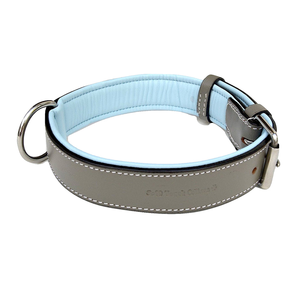 Blue collar for small pets