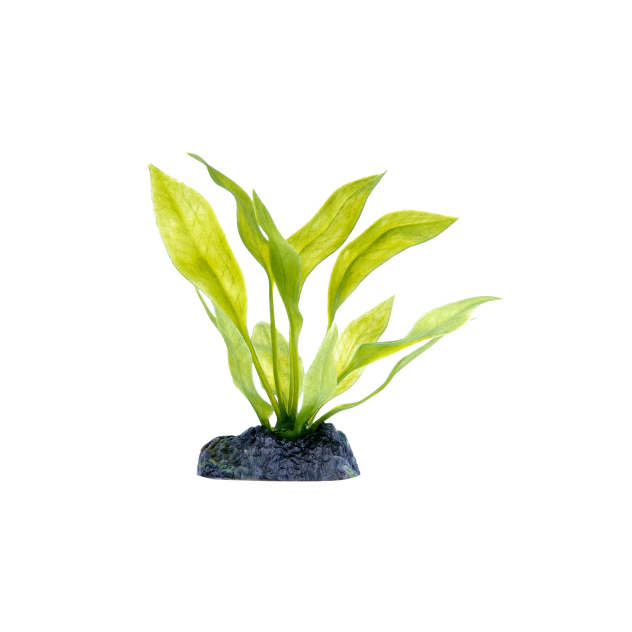 Small plastic plant for aquariums