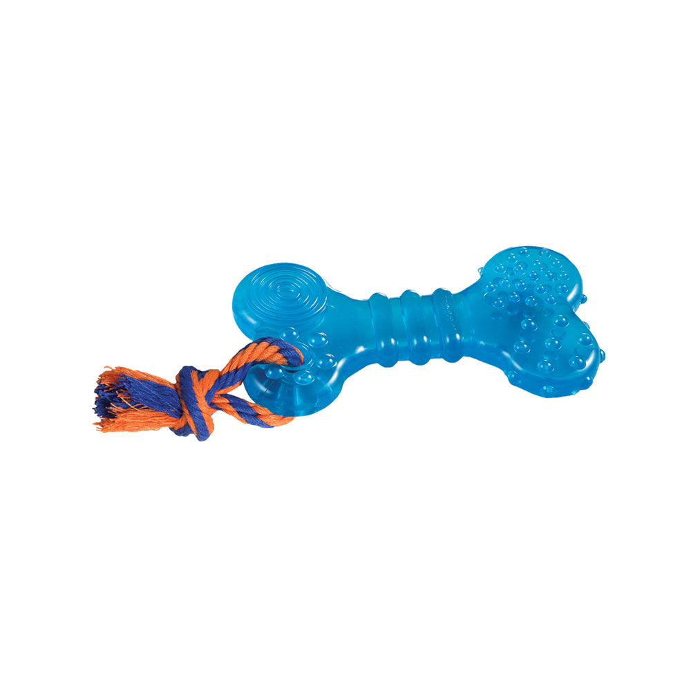 Scented cheese flavoured dog toy shaped like a blue bone