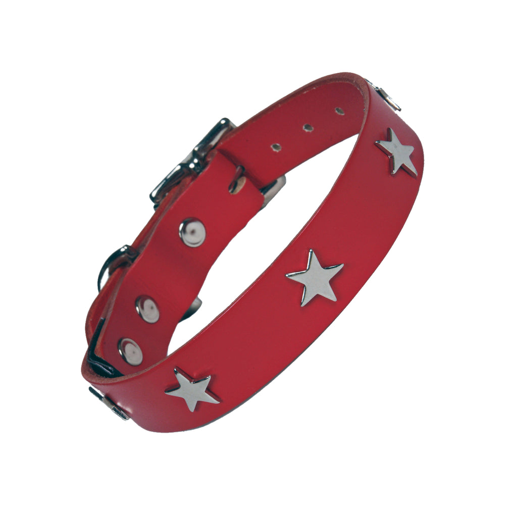 A red collar for dogs and cats